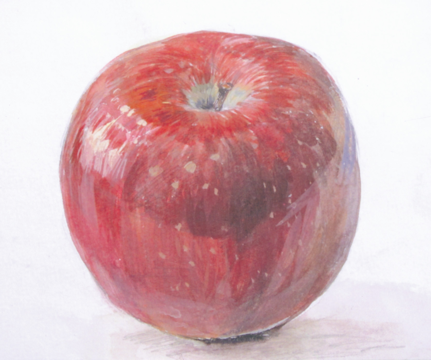 受講生絵が水彩で描いたりんご。光沢感あふれるりんごの姿を的確に描く。